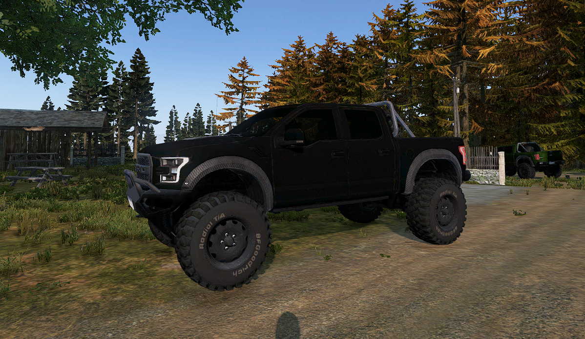 Raptor black