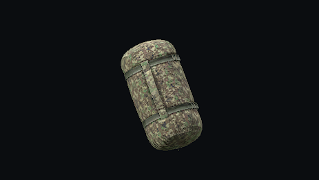 Sleeping Bag